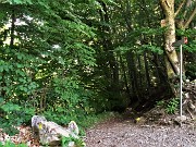 14 Al Passo di Crosnello prendo a dx il sent. 506 per il Monte Zucco